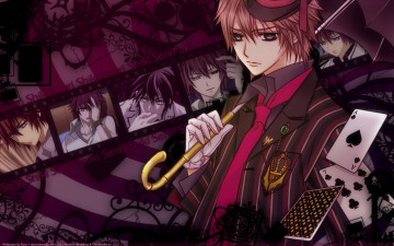 Картинка аниме vampire knight