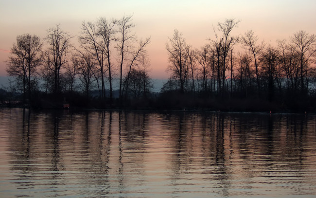 Обои картинки фото природа, реки, озера, деревья, закат, вода