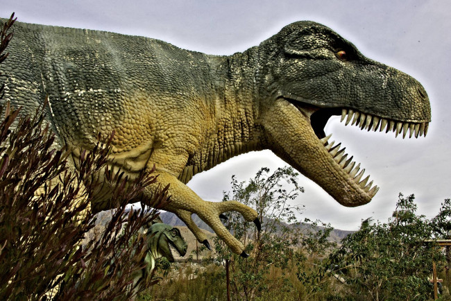 Обои картинки фото разное, рельефы, статуи, музейные, экспонаты, динозавры