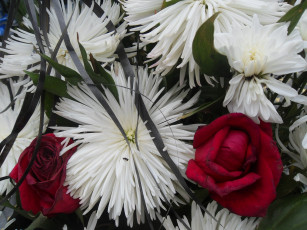 Картинка цветы разные вместе