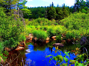 Картинка baldwin springs in hdr природа реки озера озерко лес поляна