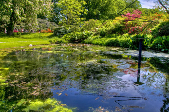 Картинка gardens of sofiero castle helsingborg sweden природа парк водоем рыба деревья кусты цветы