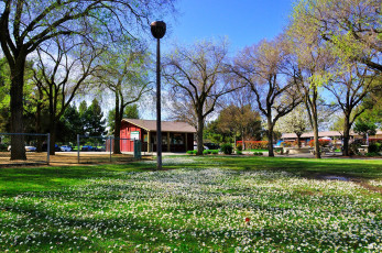 Картинка города здания дома fremont