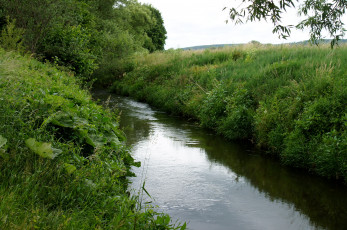 Картинка природа реки озера деревья река