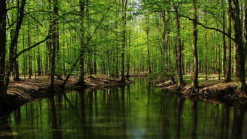 Картинка природа реки озера польша