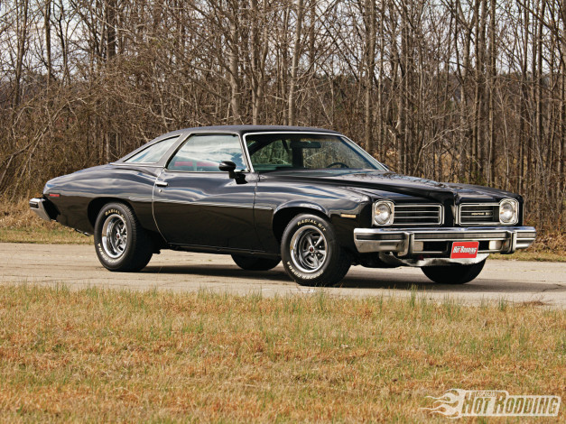 Обои картинки фото автомобили, pontiac, lemans