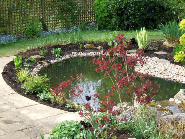 Обои картинки фото water, gardens, природа, парк, цветы, водоем, камешки, кусты