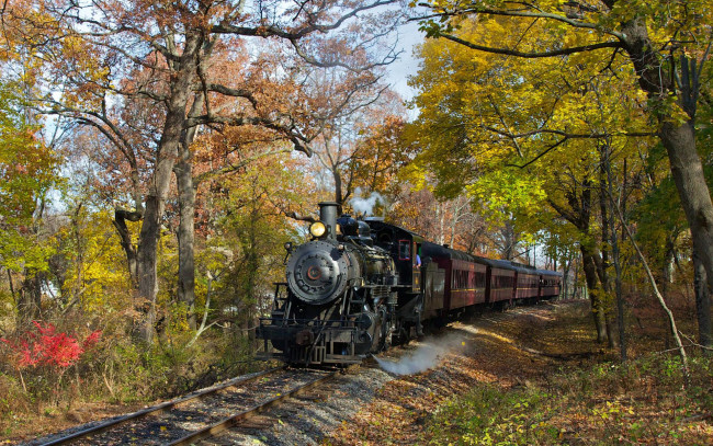 Обои картинки фото техника, паровозы, паровоз, вагоны, прогулка