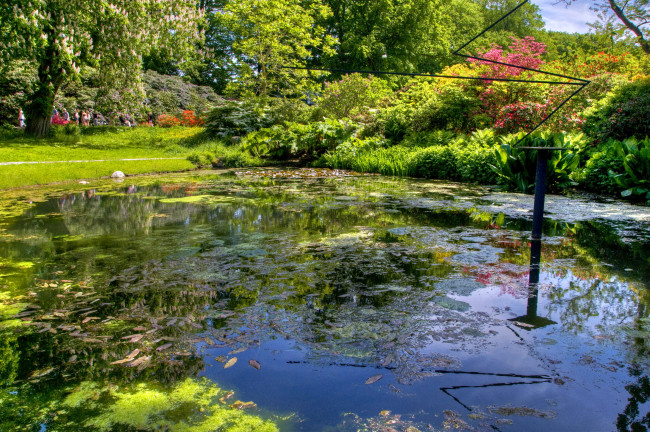 Обои картинки фото gardens, of, sofiero, castle, helsingborg, sweden, природа, парк, водоем, рыба, деревья, кусты, цветы