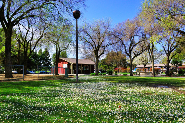 Обои картинки фото города, здания, дома, fremont