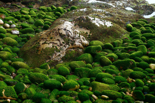 Обои картинки фото природа, камни, минералы, мох