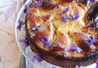 Картинка еда пироги фиалки тесто