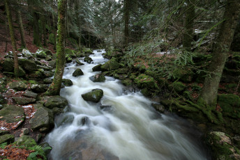 Картинка природа реки озера лес камни река