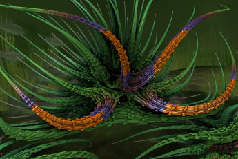 Картинка 3д графика fractal фракталы узор фон цвет