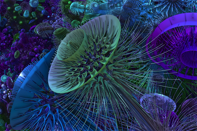 Обои картинки фото 3д, графика, fractal, фракталы, фон, цвет, узор