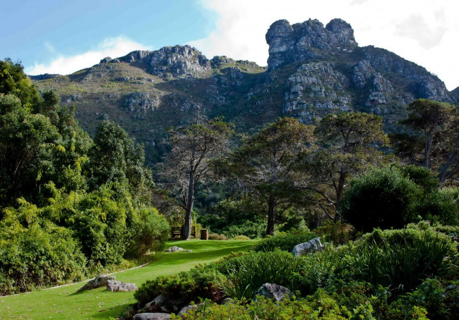Обои картинки фото kirstenbosch, national, botanic, garden, south, africa, природа, парк, растения, дорожки