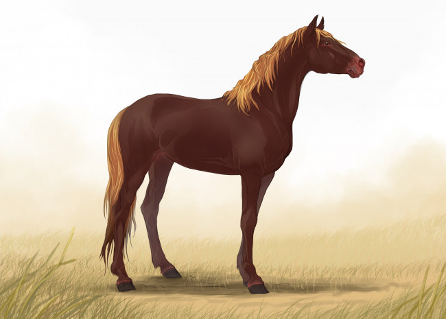 Обои картинки фото рисованные, животные, лошади, лошадь