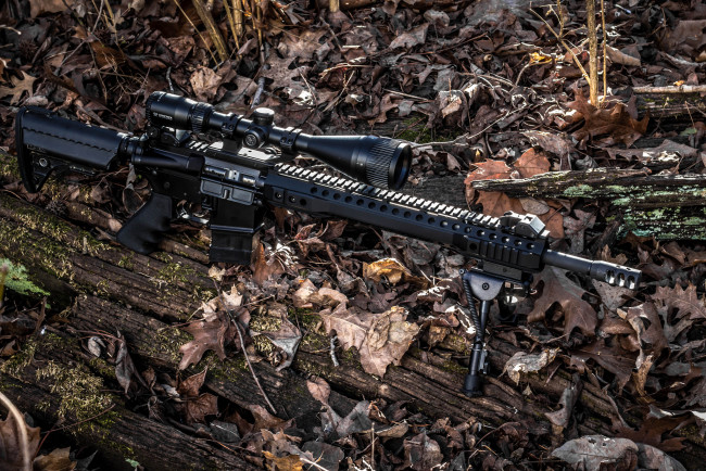 Обои картинки фото spr ar-15, оружие, винтовки с прицеломприцелы, снайперка, оптика, сошки, прицел, винтовка