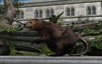 Картинка 3д+графика люди+ people зверок