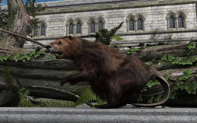 Обои картинки фото 3д графика, люди , people, зверок