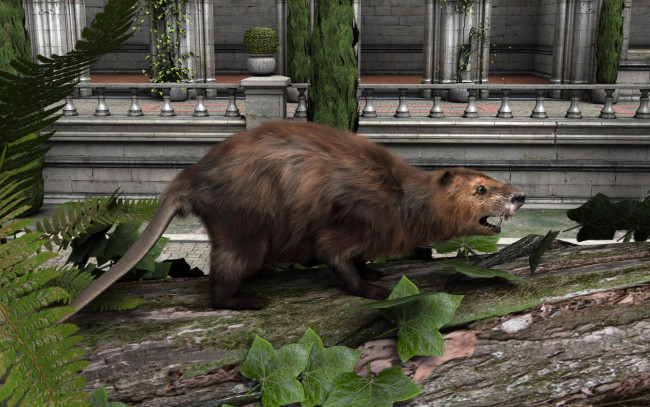 Обои картинки фото 3д графика, животные , animals, зверок