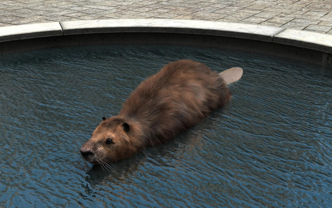 Обои картинки фото 3д графика, животные , animals, зверок