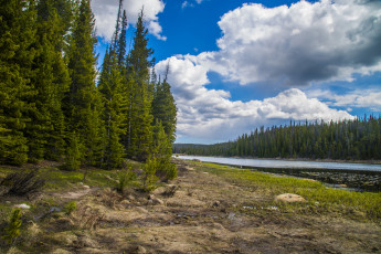 Картинка природа реки озера лес река