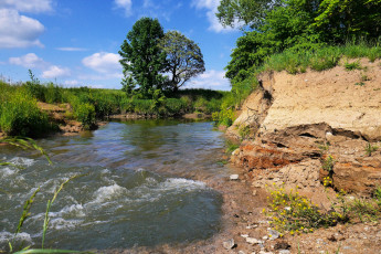 Картинка природа реки озера лес река