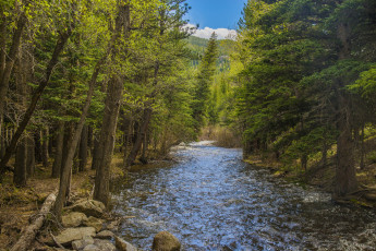 Картинка природа реки озера лес река