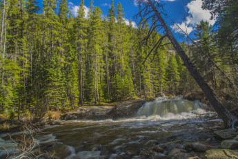 Картинка природа реки озера лес река