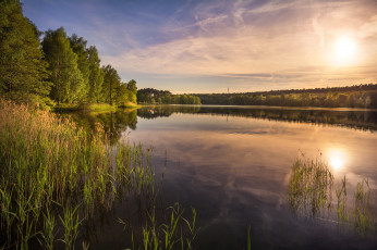 Картинка природа реки озера лес река