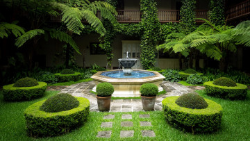 Картинка природа парк фонтан кусты плющ