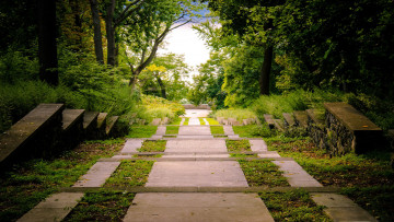 Картинка природа парк ступени деревья