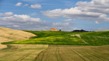 Картинка природа поля лето облака