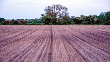 Картинка природа поля вспаханное поле весна