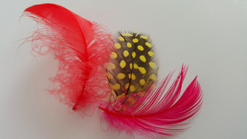 Картинка разное перья розовый красный крапинки