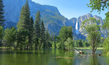 Картинка природа реки озера лес река