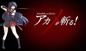 обоя аниме, akame ga kill, фон, взгляд, девушка