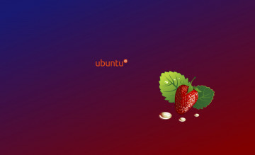 Картинка компьютеры ubuntu+linux логотип фон