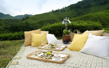 Картинка интерьер декор +отделка +сервировка подушки ковер приборы сервировка пикник