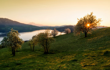 Картинка природа реки озера водоем трава горы деревья