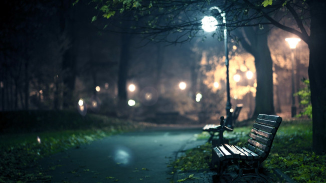 Обои картинки фото природа, парк, дождь, скамейки, аллея