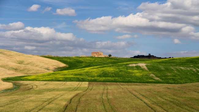 Обои картинки фото природа, поля, лето, облака