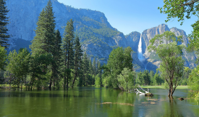 Обои картинки фото природа, реки, озера, лес, река