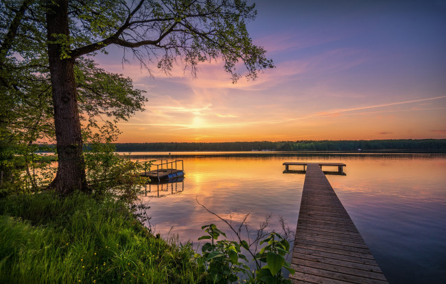 Обои картинки фото природа, реки, озера, лес, река