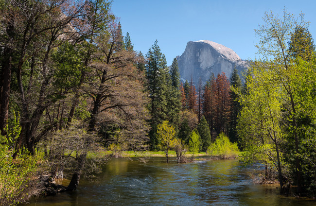 Обои картинки фото природа, реки, озера, лес, река