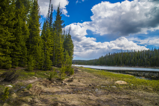 Обои картинки фото природа, реки, озера, лес, река