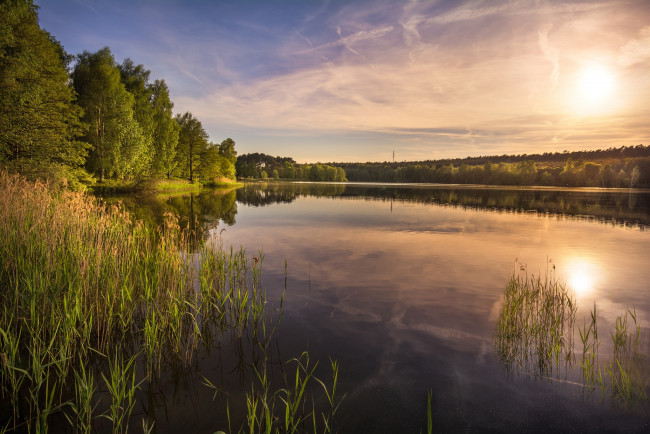 Обои картинки фото природа, реки, озера, лес, река