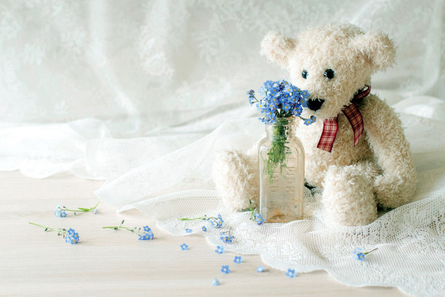 Обои картинки фото разное, игрушки, медвежонок, незабудки