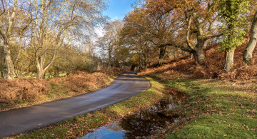 Картинка природа дороги простор